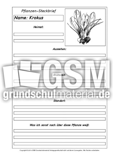 Pflanzensteckbriefvorlage-Krokus-SW.pdf